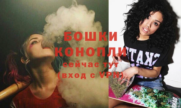 2c-b Белокуриха