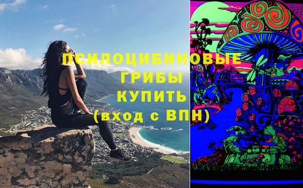 2c-b Белокуриха