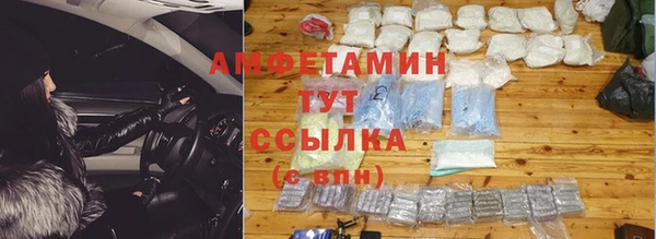 прущие грибы Надым