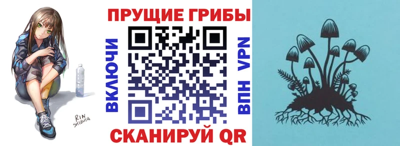 продажа наркотиков  гидра зеркало  Псилоцибиновые грибы GOLDEN TEACHER  Волгореченск 