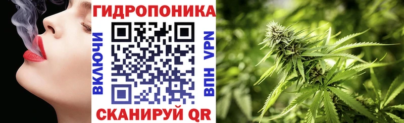 Конопля индика  закладка  Волгореченск 